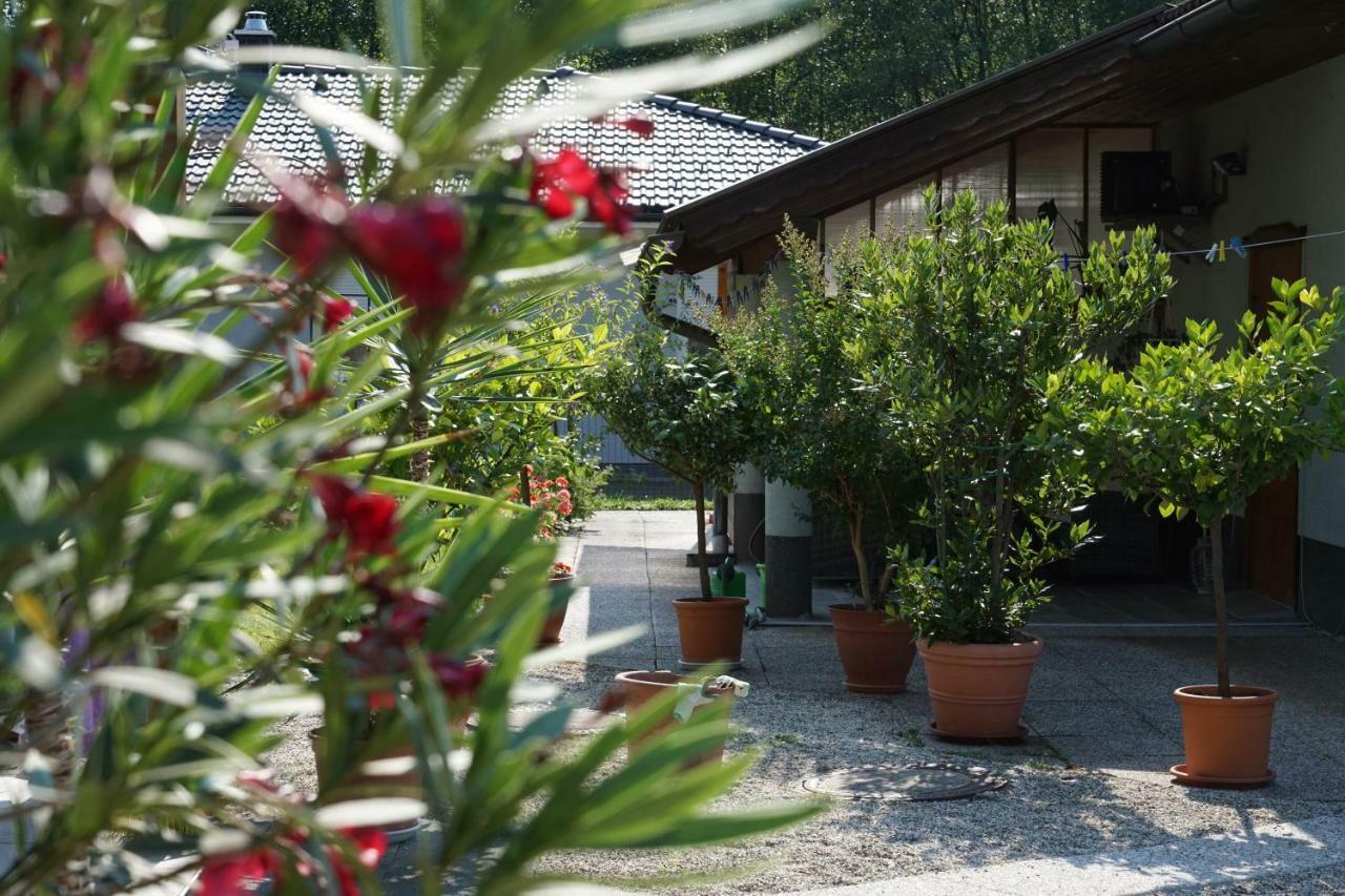 Northwest Studio Apartments Klagenfurt am Woerthersee Zewnętrze zdjęcie