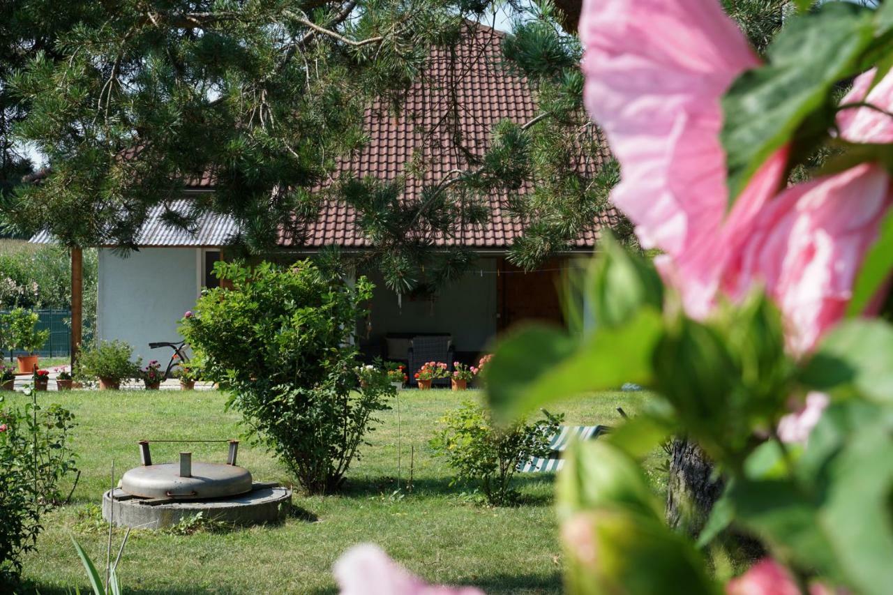 Northwest Studio Apartments Klagenfurt am Woerthersee Zewnętrze zdjęcie